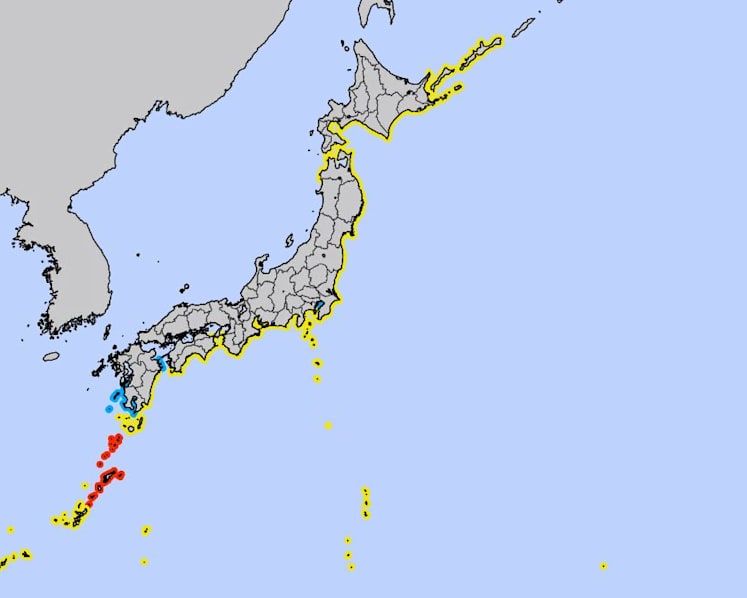 Tsunami caused by Tonga volcano eruption hits Japan's coast