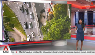 The Year in Review: Tanjong Katong sinkhole shows need for rigorous ground checks, says analyst 