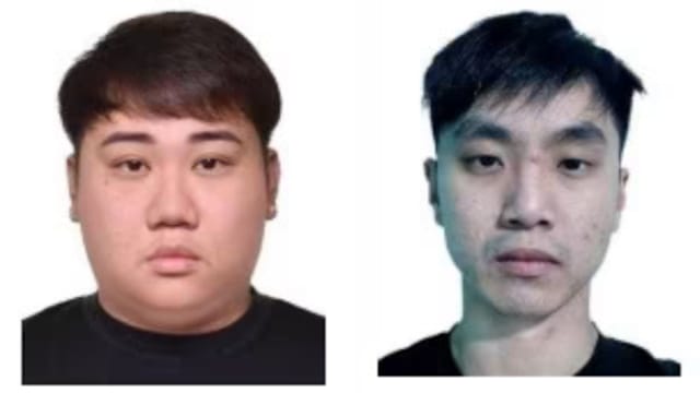 涉及4100万元跨国诈骗组织 两狮城通缉犯遣返我国面控