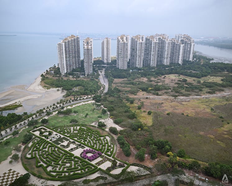 Scams, illegal businesses pose new setback for Johor’s Forest City revival