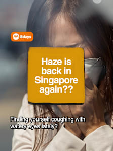 admin is still in the cottage ngl #8dayssg #8dayssgtrending #haze #singapore #sg 