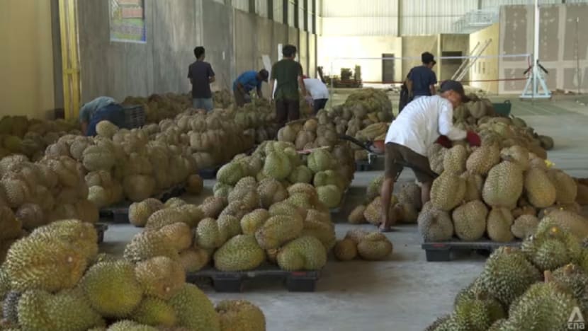 'Diplomasi Durian': Indonesia rancang eksport durian beku ke China tahun ini