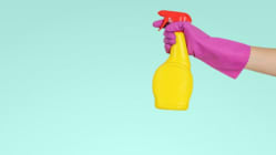 Related article image
