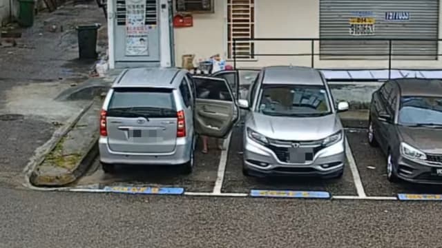 人有三急 马国妇女用车门遮掩就地小便