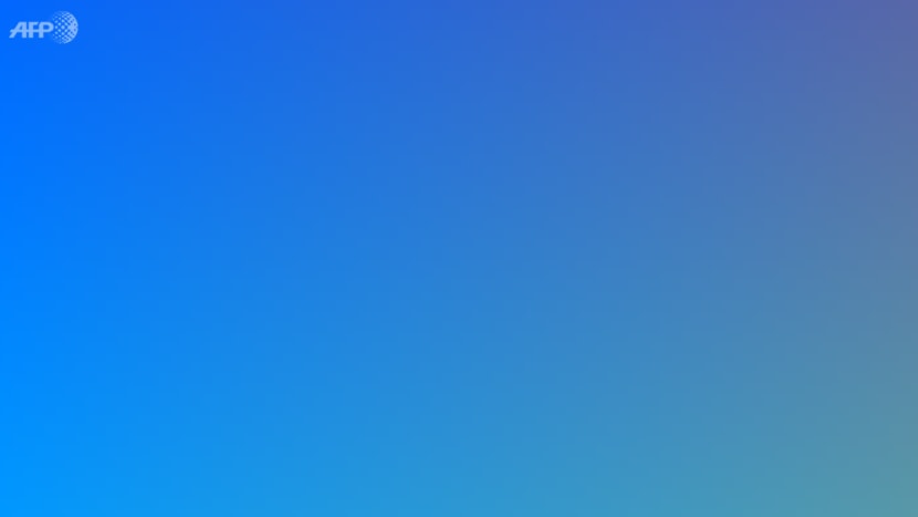 p_test_schedule_content