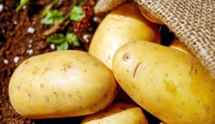 உருளைக்கிழங்கு எப்படி உருவானது? தெரியுமா? 