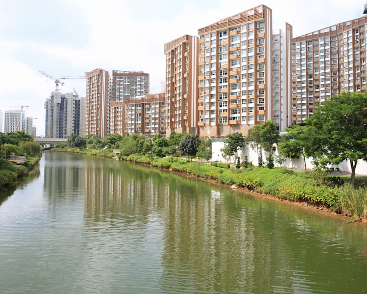 Biodiversity thriving on artificial Punggol waterway