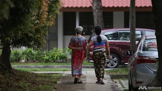 休会动议：杨涴淩呼吁为女佣提供更多支持