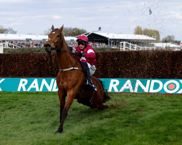 Horse Racing-Gold Dancer suffers fatal injury in Aintree victory