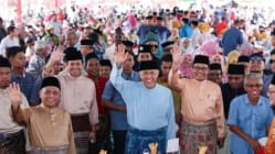 Related article image