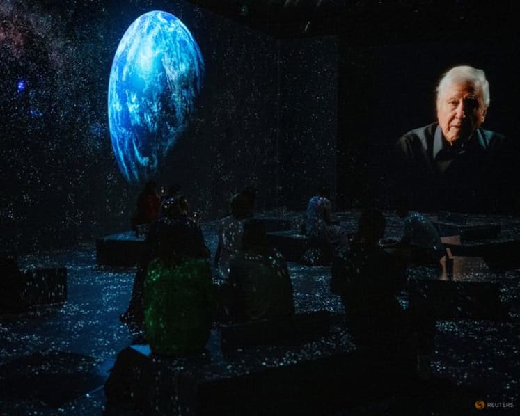 David Attenborough centenary celebrations start with closer look at 'Life on Earth'