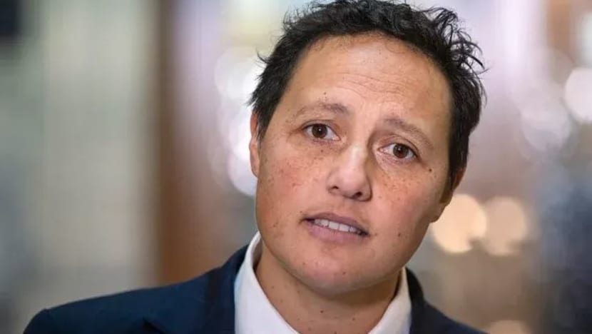 Didakwa pandu melulu, Menteri Kehakiman New Zealand letak jawatan