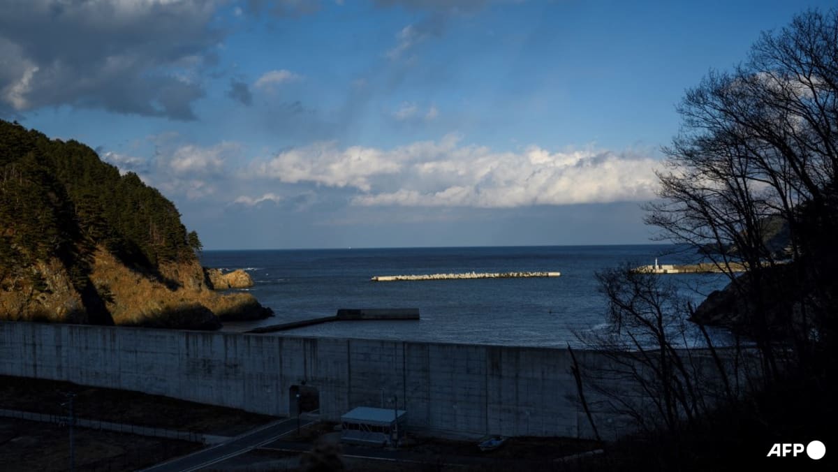 Japan observes tiny tsunami following 6.7 magnitude quake