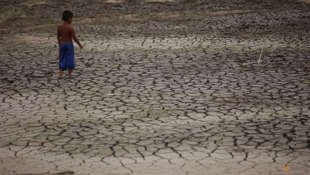 Amazon River tributary falls to lowest in over a century amid Brazil ...