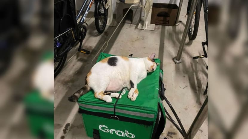 Gambar Pilihan Hari Ini