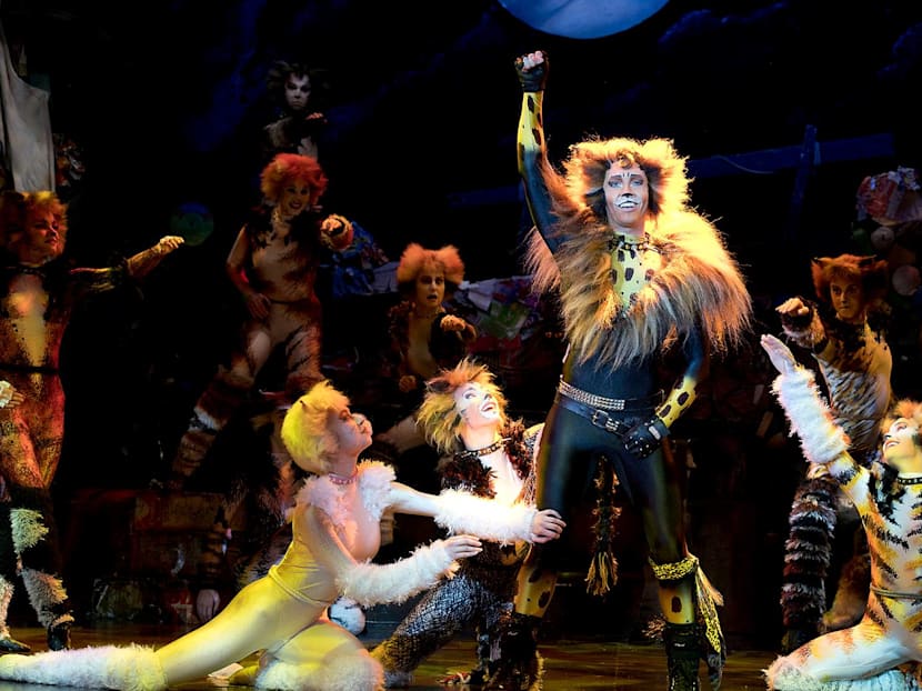Cats The Musical Is Now In Singapore &mdash; And This Is What Cats First-Timers Should Know Before You Go