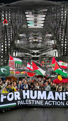 Tens of thousands of pro-Palestine protesters march across Sydney Harbour Bridge