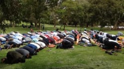 Related article image