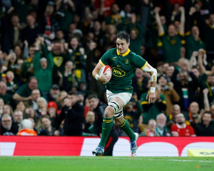 Springbok lock Mostert free to face Ireland after red card rescinded