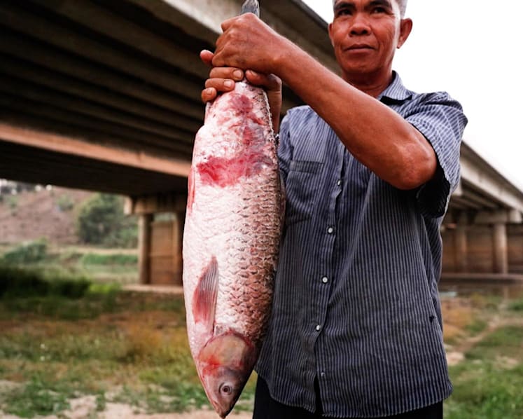 Inside Thailand’s toxic river struggle and the fallout from Myanmar's mines