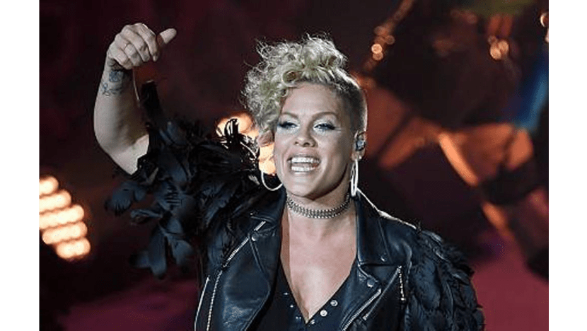 Pink was nicknamed after 'pink' vagina