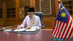 Related article image