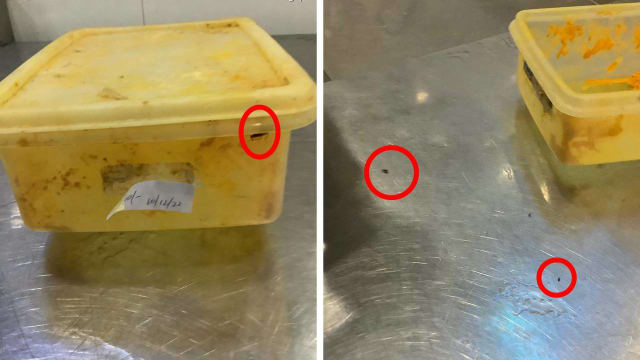设施有蟑螂出没容器不干净 Rasel Catering被罚款4800元