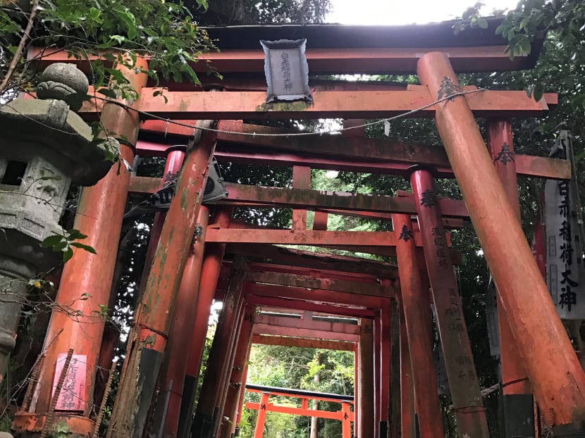 5 Instagram-worthy hidden gems near Tokyo