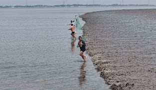 Tides of Time - King Tides That Bring Death & Destruction