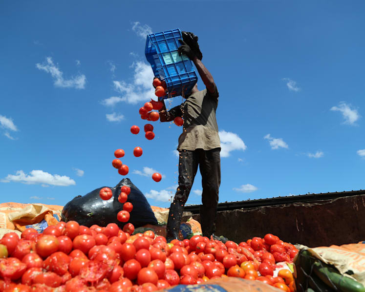 The Big Read: Global supply chain shock has farmers dumping food as consumers fret over shortages, price hikes