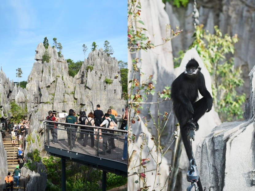 First look: Rainforest Wild Asia in Mandai opens Mar 12 with 8 themed zones, lots of animals, fun activities First look: Rainforest Wild Asia in Mandai opens Mar 12 with 8 themed zones, lots of animals, fun activities