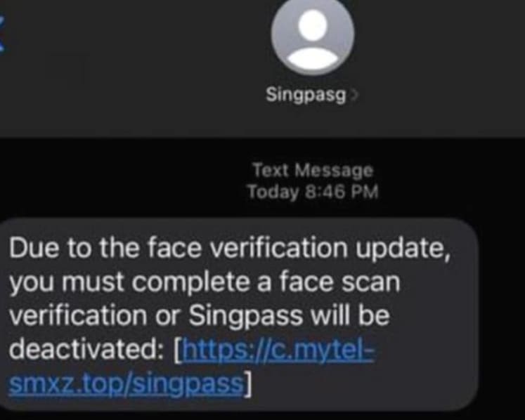 Police warn of SMS phishing scam targeting Singpass users; some end up with unauthorised credit card charges