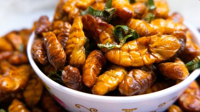 理解问答：蟋蟀蚱蜢等可食用昆虫将登本地餐桌？