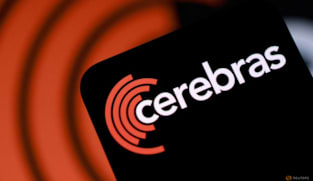 Cerebras sinks 14% as full-year margin forecast disappoints