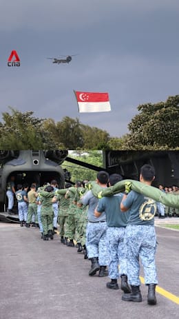 Behind the scenes of the state flag flypast preparations