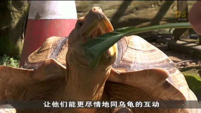 甘榜教育园区和活龟鳖博物馆 获批多营业三个月