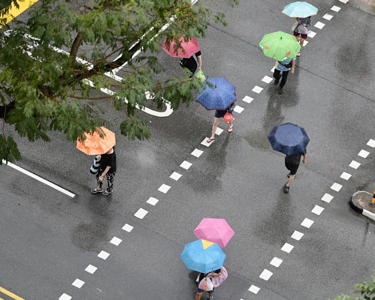 Commentary: The fascination with Singapore’s weather has gone into overdrive