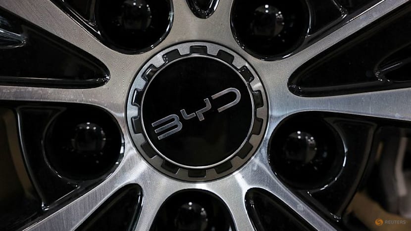 BYD makes largest recall of over 115,000 cars due to design, battery issues