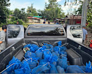 Men moving 81 macaques, meth arrested in Thailand