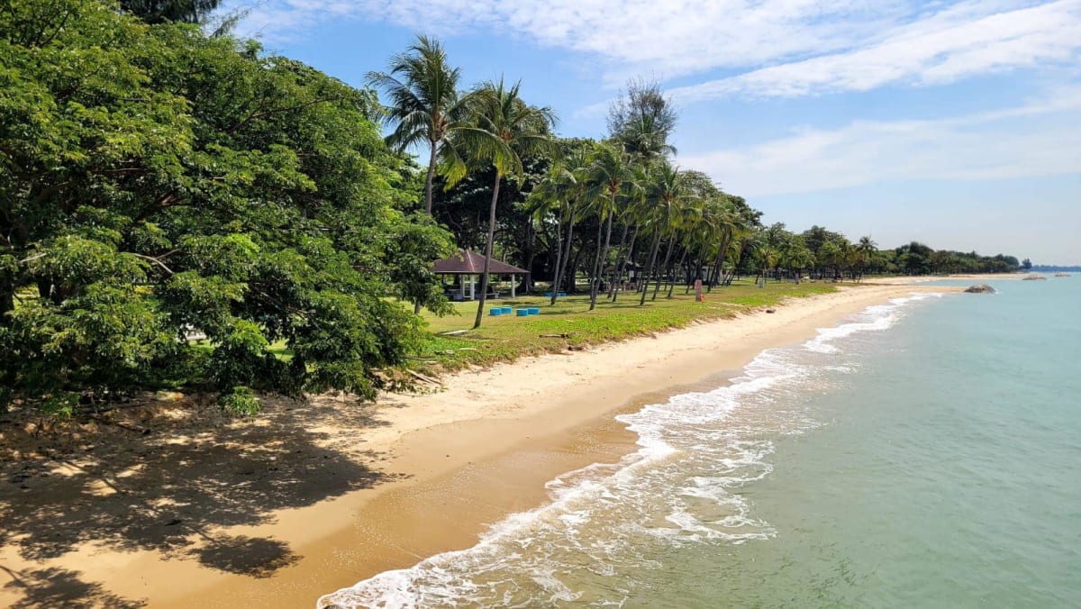 East Coast Park: A Scenic Coastal Retreat with Breathtaking Views and Outdoor Fun