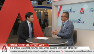 People will look to Southeast Asia as Trump exerts pressure on China: Simon Tay