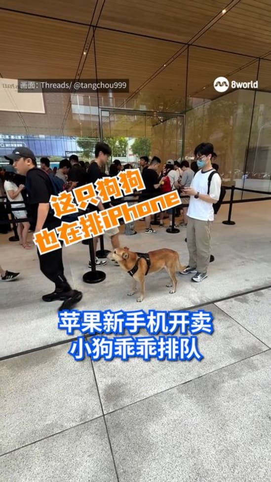 20260919_dogqueue_taipei