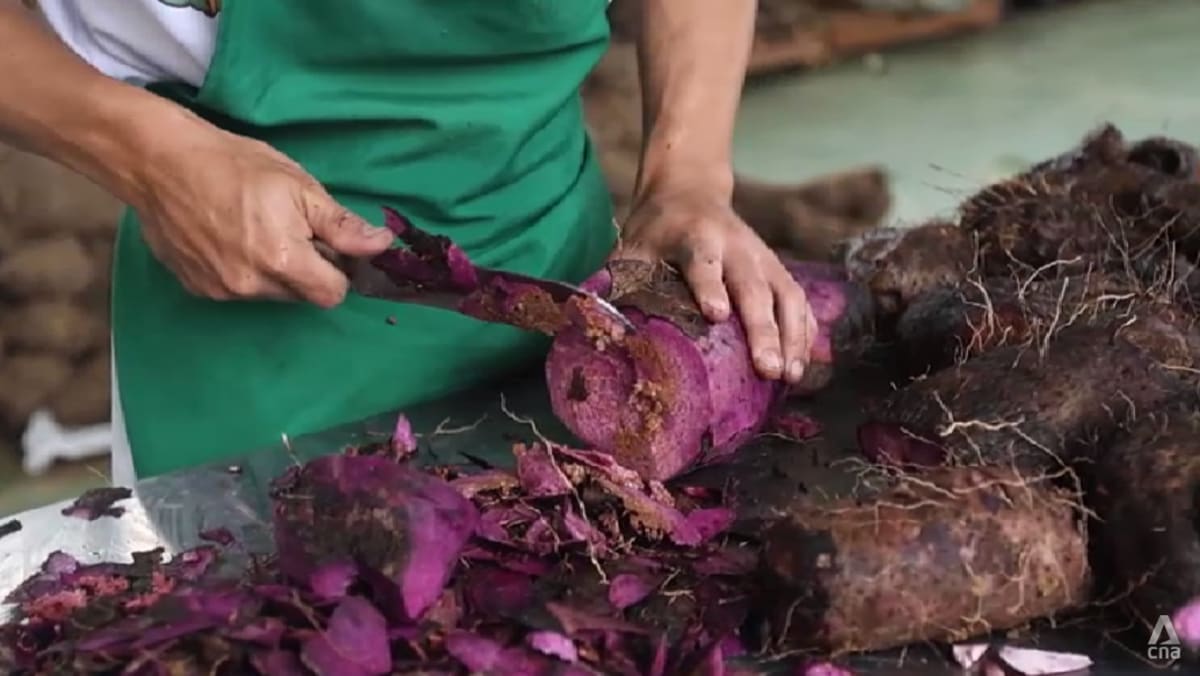 Philippine purple yam boom under strain from climate pressures