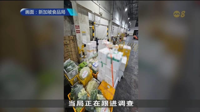 从马国非法进口农产品 两家进口商被查