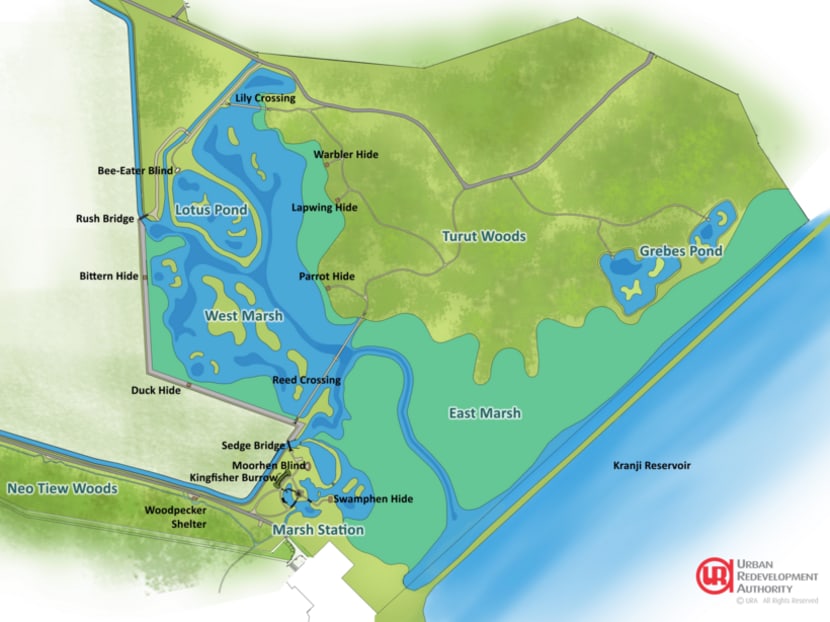 Rich biodiversity on offer as Kranji Marshes open Rich biodiversity on offer as Kranji Marshes open