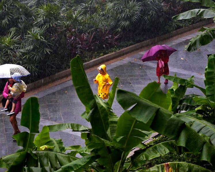Short, thundery showers in the first week of July to give way to dry weather