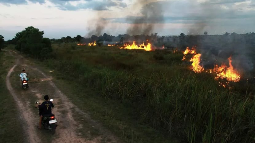 Indonesia mulakan pembenihan awan bagi tangani jerebu di Riau