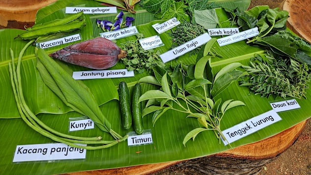 BERITA+: Ulam-ulaman kian dilupakan, usaha baharu hidupkan semula warisan Melayu di Singapura