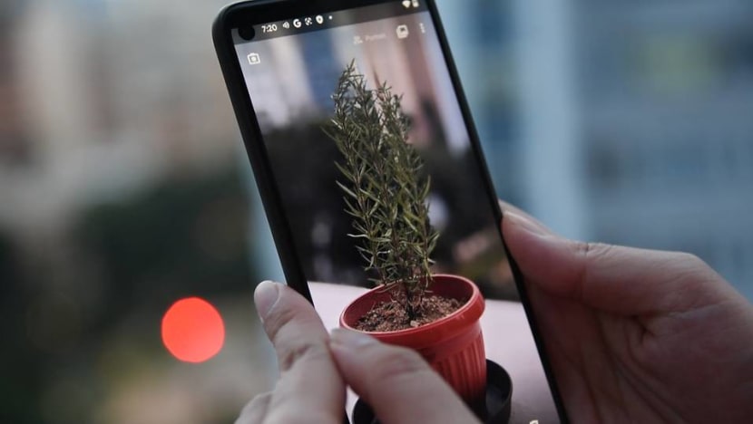 Commentary: Google Pixel 4a a decent phone but wait a little longer before switching Commentary: Google Pixel 4a a decent phone but wait a little longer before switching