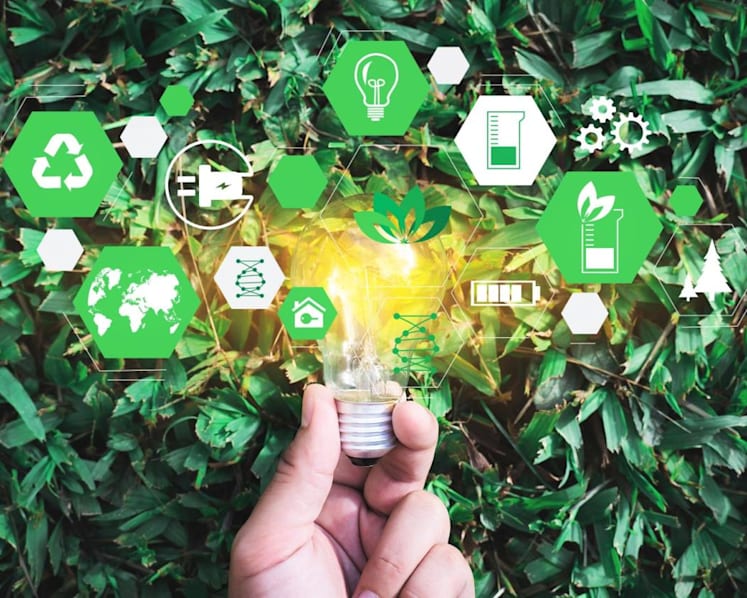 Data and the investment paths to net zero